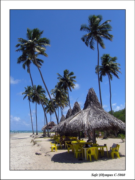 2005 - 11 - Porto de galinhas - maracaipe 10.JPG